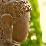 Mas La Farelle Gite, Fitness & Salle De Jeux Gratuite & En Supplement * Nîmes