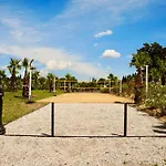 Mas La Farelle Gîte, Fitness&salle De Jeux Gratuite&spa En Supplément * Nîmes