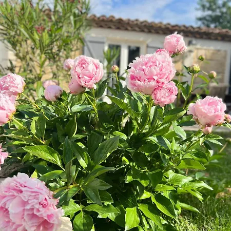 Gite, Fitness&billard Gratuit&spa Mas La Farelle * Nîmes