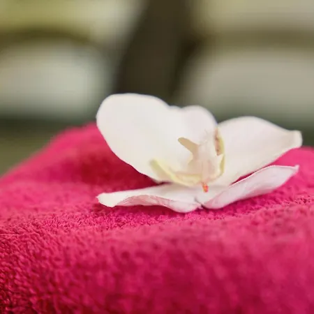 Mas La Farelle Gite, Fitness & Salle De Jeux Gratuite & En Supplement *