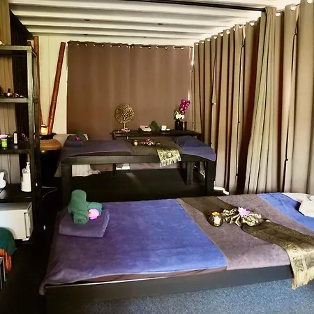 Mas La Farelle Gite, Fitness & Salle De Jeux Gratuite & En Supplement Nîmes