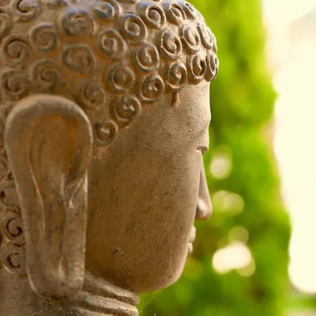 Mas La Farelle Gite, Fitness & Salle De Jeux Gratuite & En Supplement * Nîmes