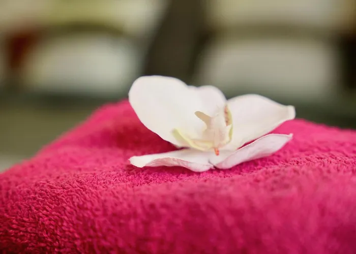 Mas La Farelle Gite, Fitness & Salle De Jeux Gratuite & En Supplement *