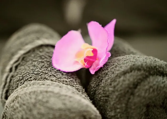 Mas La Farelle Gite, Fitness & Salle De Jeux Gratuite & En Supplement *