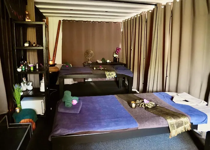 Mas La Farelle Gite, Fitness & Salle De Jeux Gratuite & En Supplement ニーム