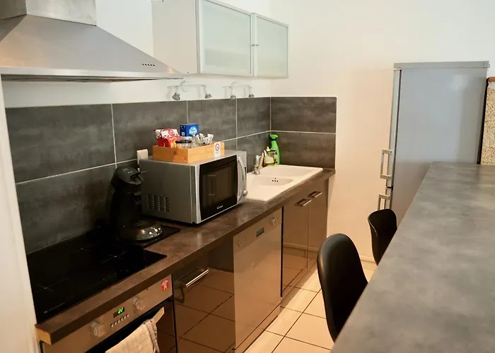 Mas La Farelle Gite, Fitness & Salle De Jeux Gratuite & En Supplement ニーム