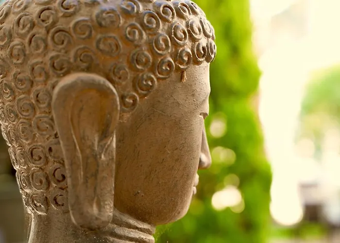 Mas La Farelle Gite, Fitness & Salle De Jeux Gratuite & En Supplement * ニーム