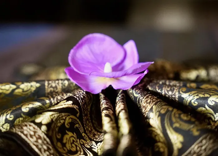 Σπίτι διακοπών Mas La Farelle Gite, Fitness & Salle De Jeux Gratuite & En Supplement *