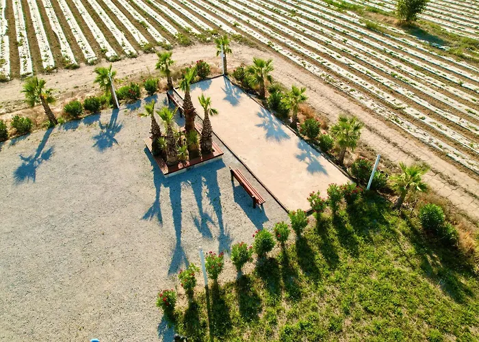 Mas La Farelle Gite, Fitness & Salle De Jeux Gratuite & En Supplement 別荘 *